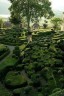Провинциальный городок Vézac во Франции известен во всем мире своими потрясающими садами Marqueyssac. 